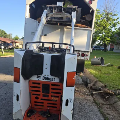 S Green Tree Services