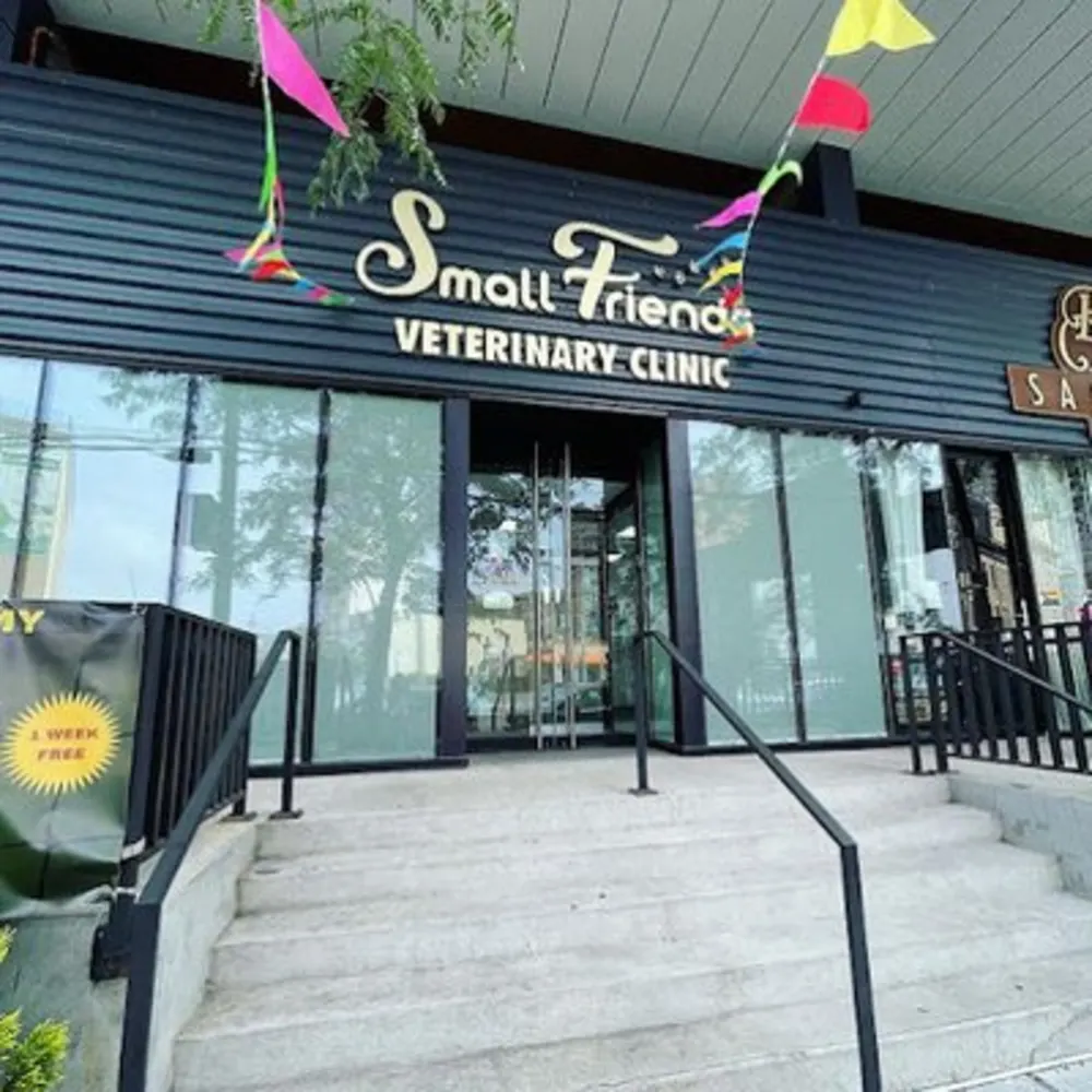 Small Friends Small Friends Veterinary Clinic - Vet in Brooklyn, NY - Vety