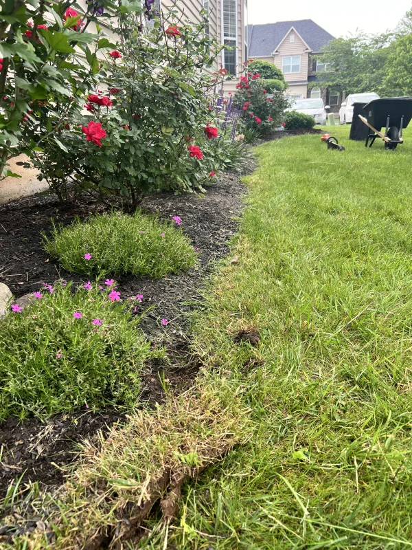 Before mulch and prep area