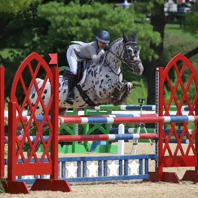 Ponies Unlimited, LLC