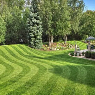 HD Landscaping