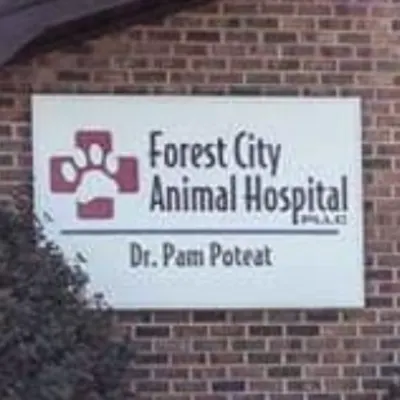 Forest City Animal Hospital