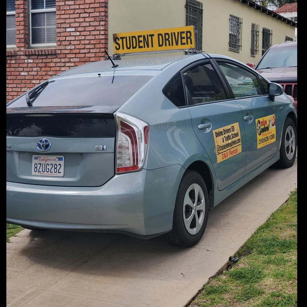 Cruise Control Driving School