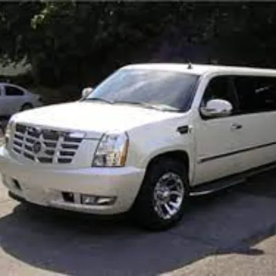 Landrys Limousine Service