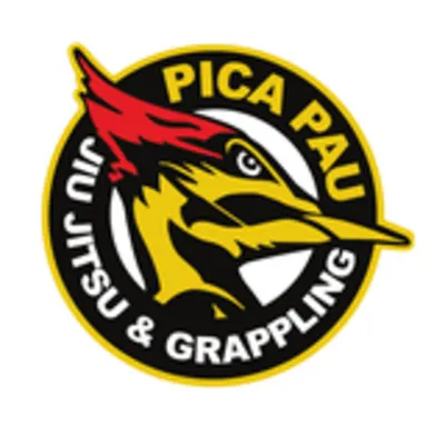 Pica Pau Jiu Jitsu And Grappling