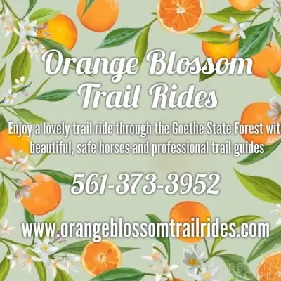 Orange Blossom Trail Rides