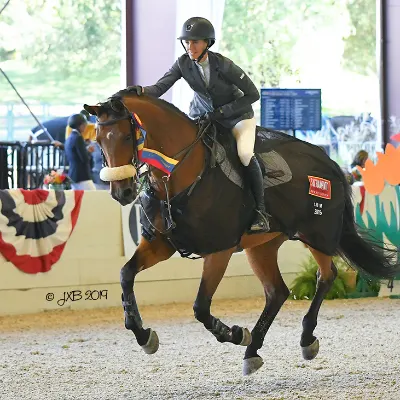 VDB Stables - Hunter/Jumped Horse Riding Lessons