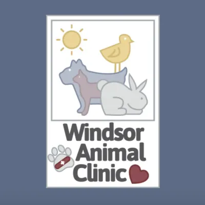 Windsor Animal Clinic