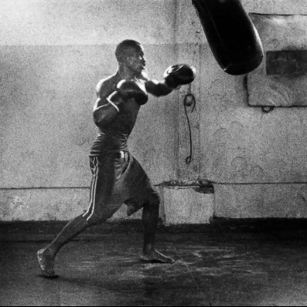 Epic Boxing