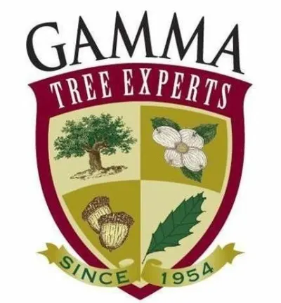 Gamma Tree Experts