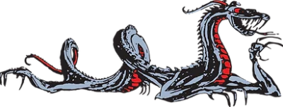 Academy Of Martial Arts