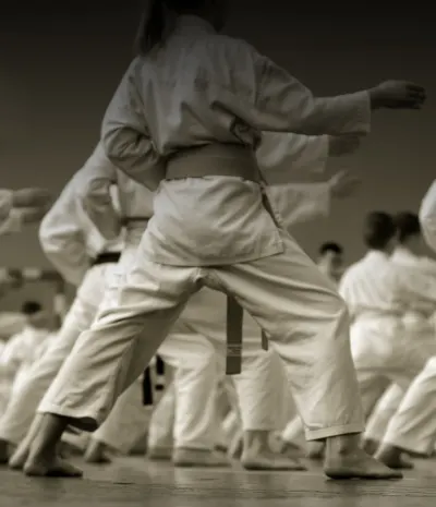 Tribull  Martial Arts