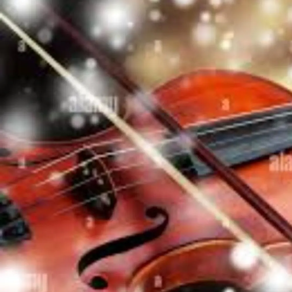 Violin For You