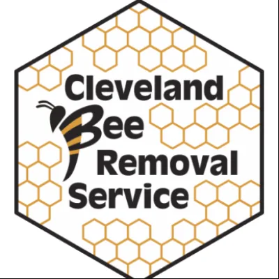 Cleveland Bee Removal Service