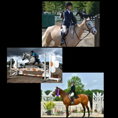 Smith Equestrian 
