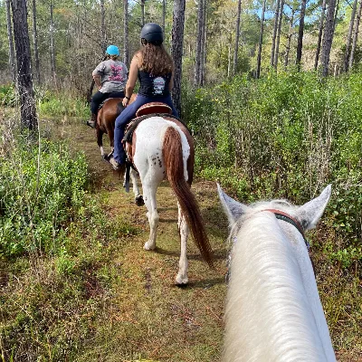 Resistance Ranch
