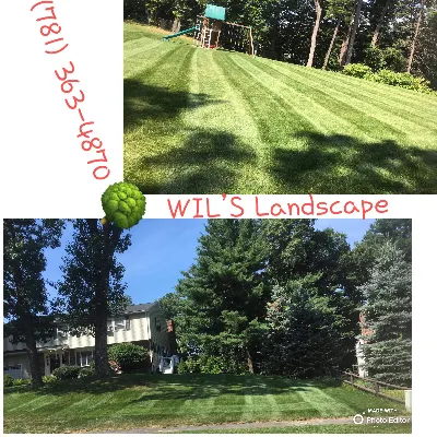 Wil’slandscape  Service