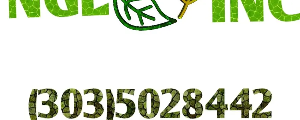 NGL INC