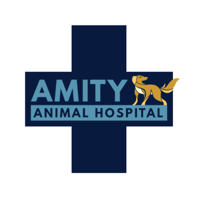 Amity Animal Hospital