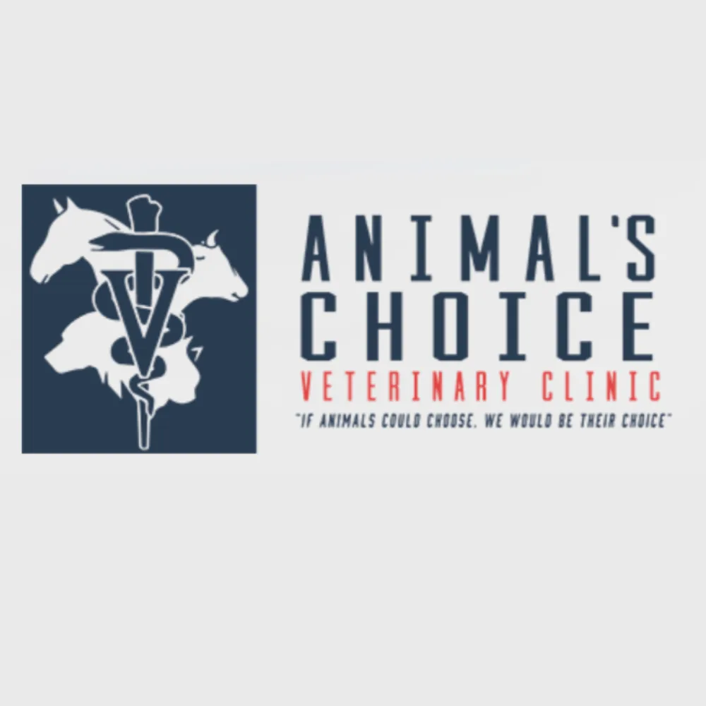 Animal's Choice Veterinary Clinic
