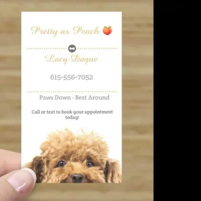 Pretty As Peach  Dog Grooming