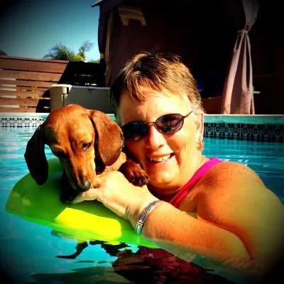 Pet Pals Paradise