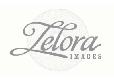 Zelora Images Photography