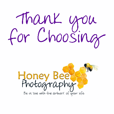 Honey Bee Photography