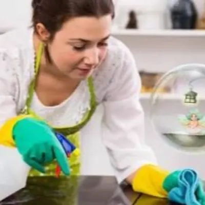 Gemini Cleaning & Sanitation