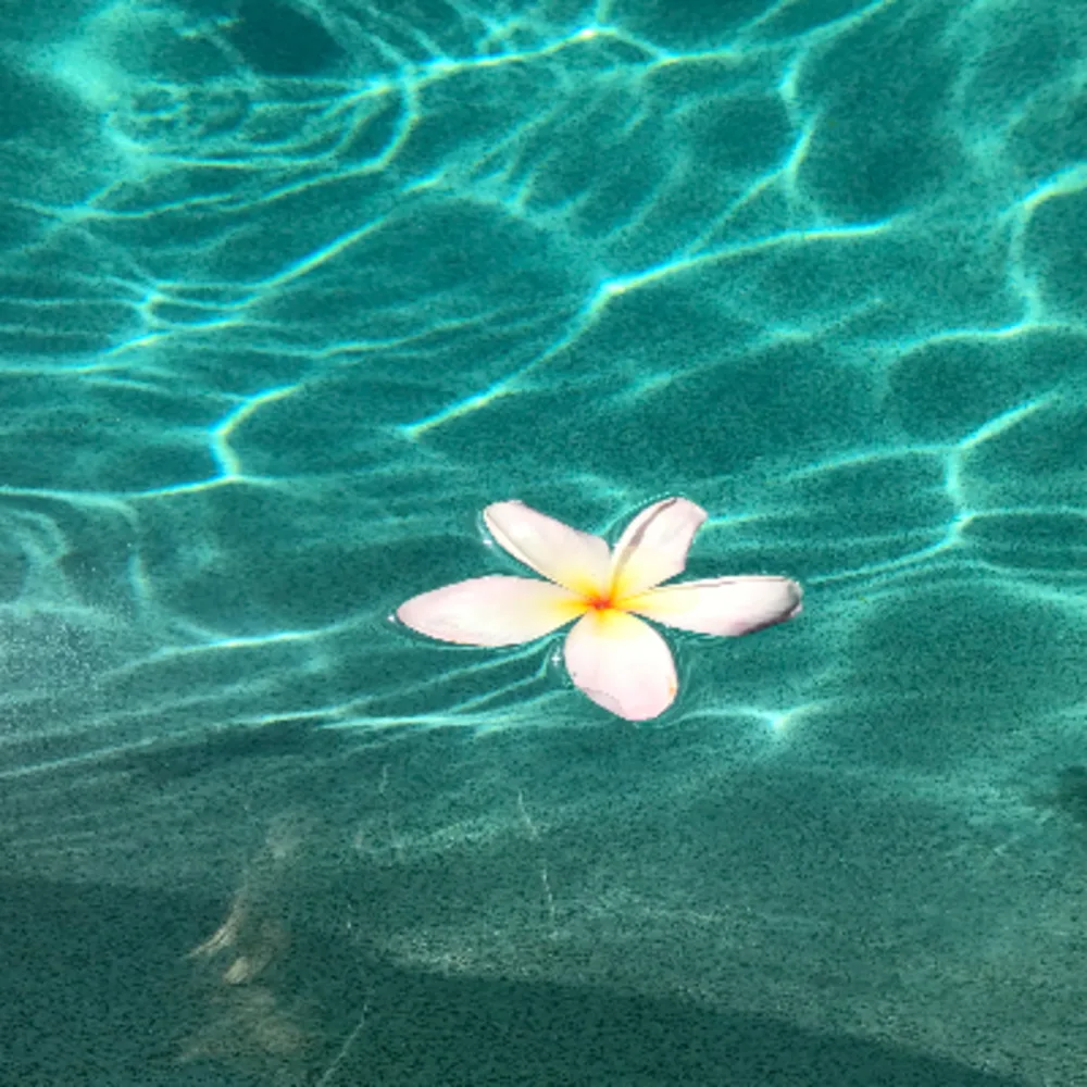 PS Aquatics