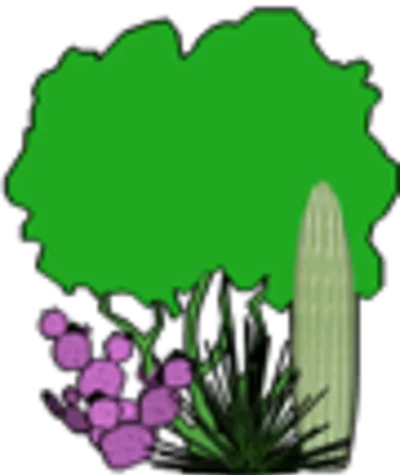 Landshapes Inc