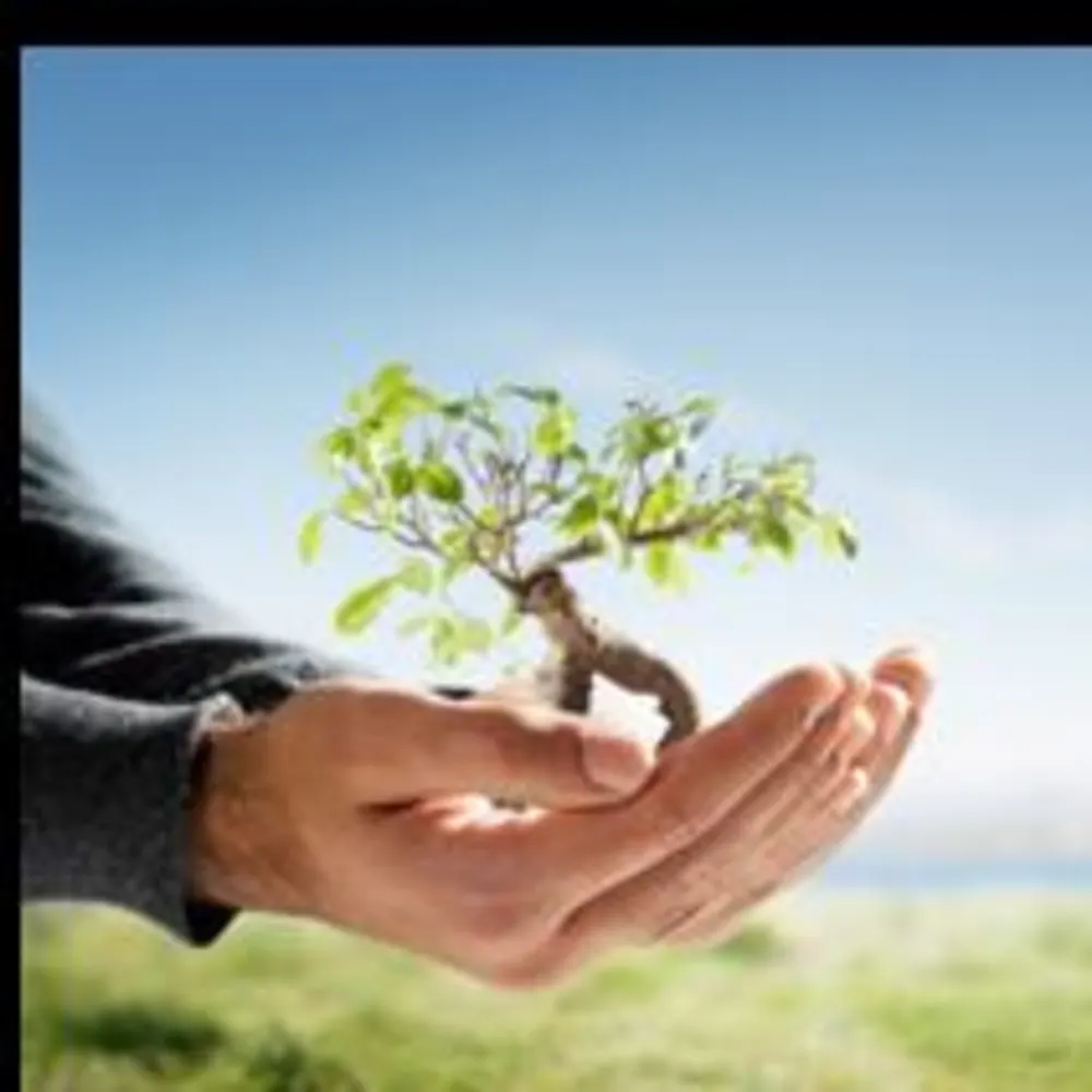 4 B's Tree And Lawn Service LLC