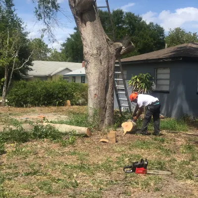 Nature Heights Tree Service