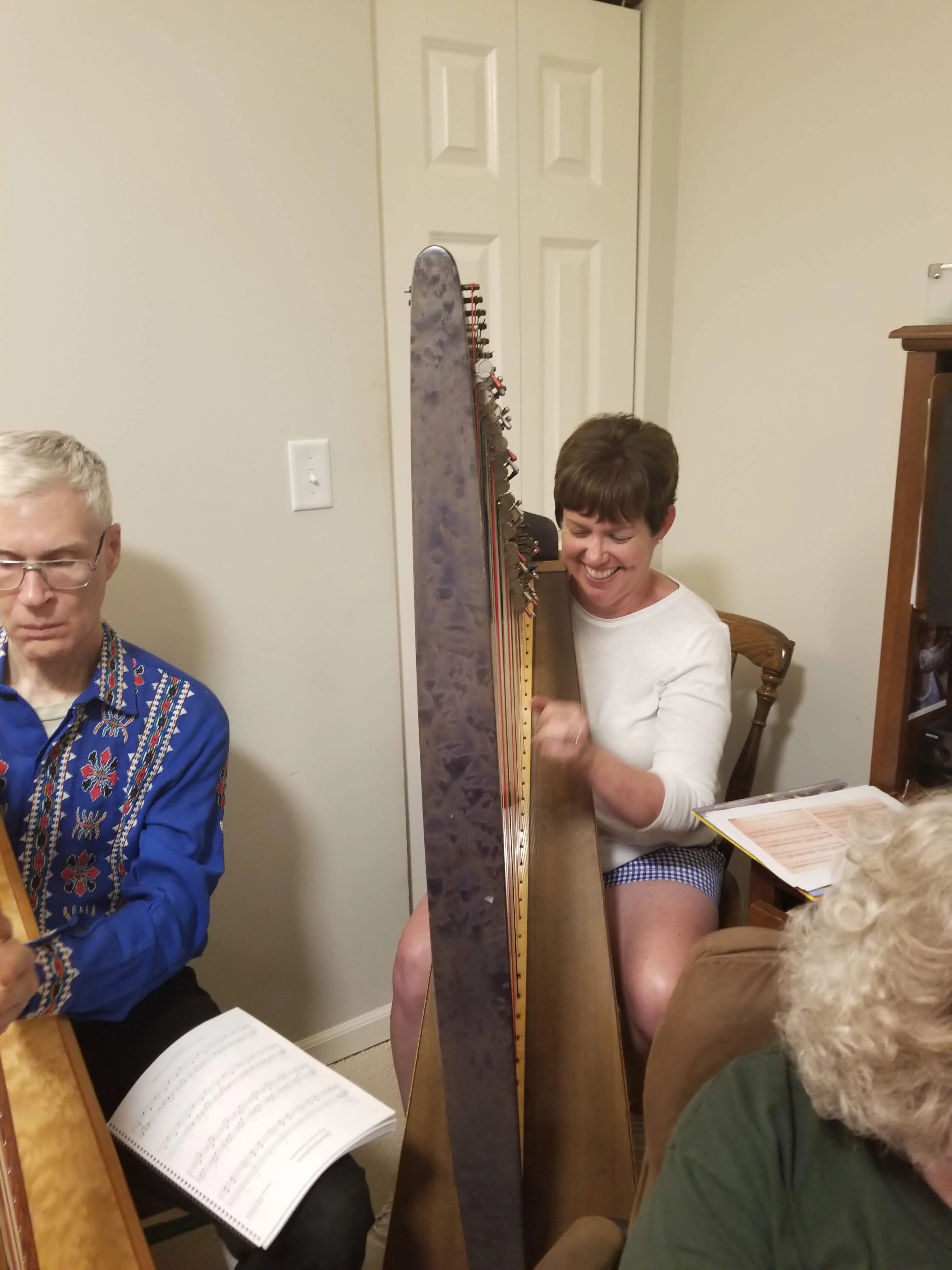 Great Lake Harp Lessons in Chicago, IL // Lessons.com