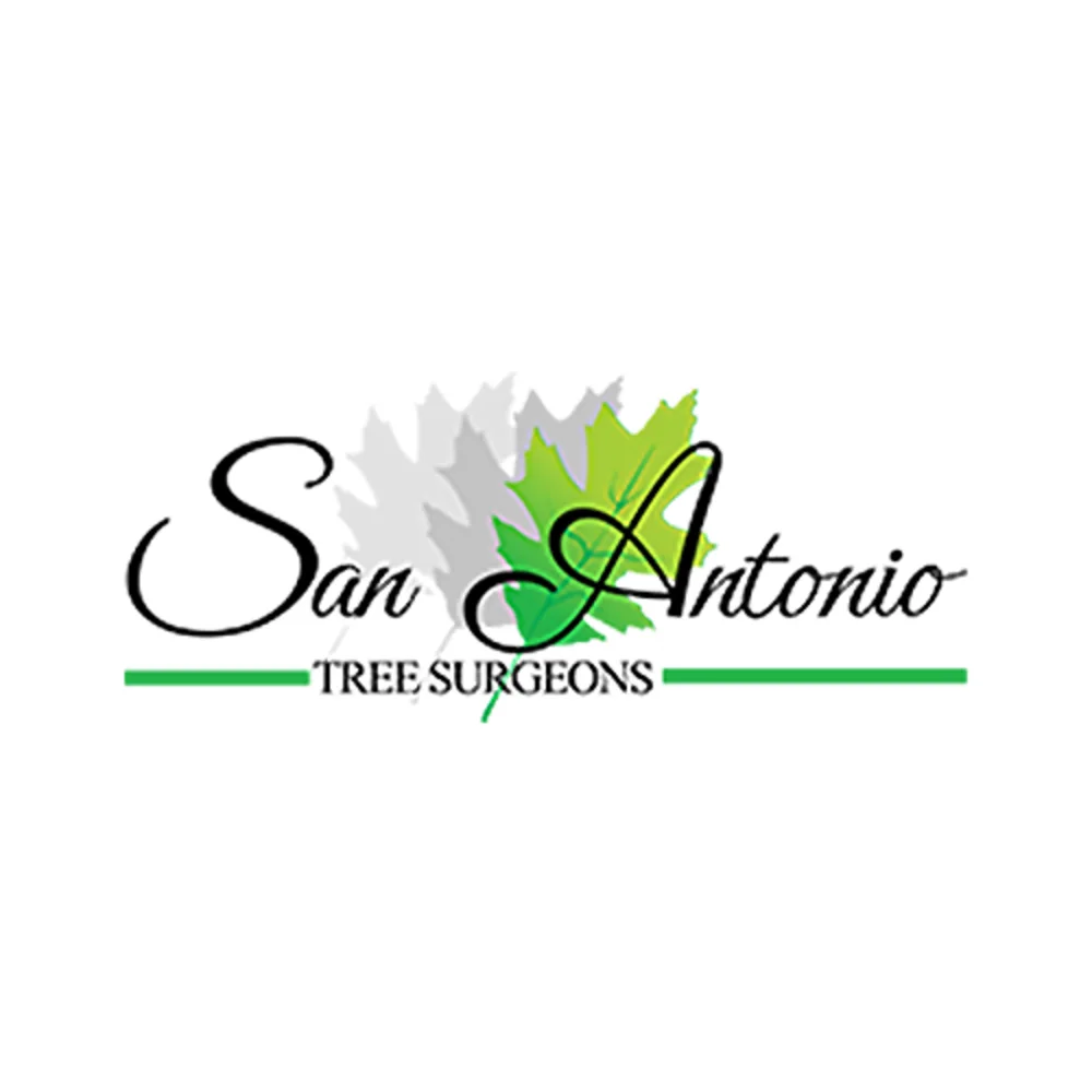San Antonio Tree Surgeons