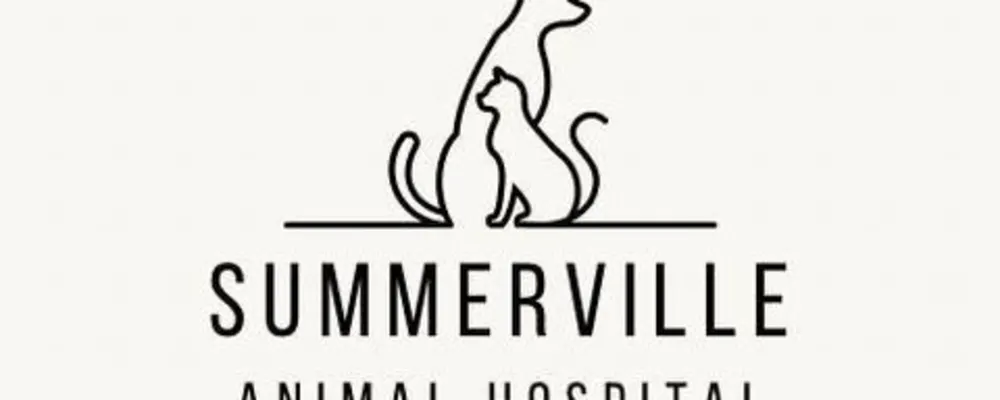 Summerville Animal Hospital