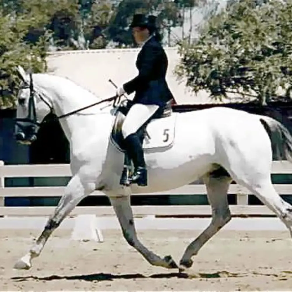 Lincourt Stables