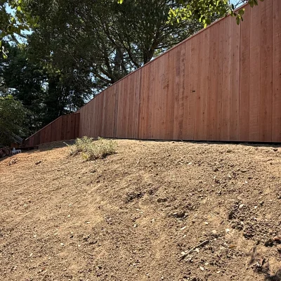 Benavidez Landscaping Services - Unlicensed Contractor