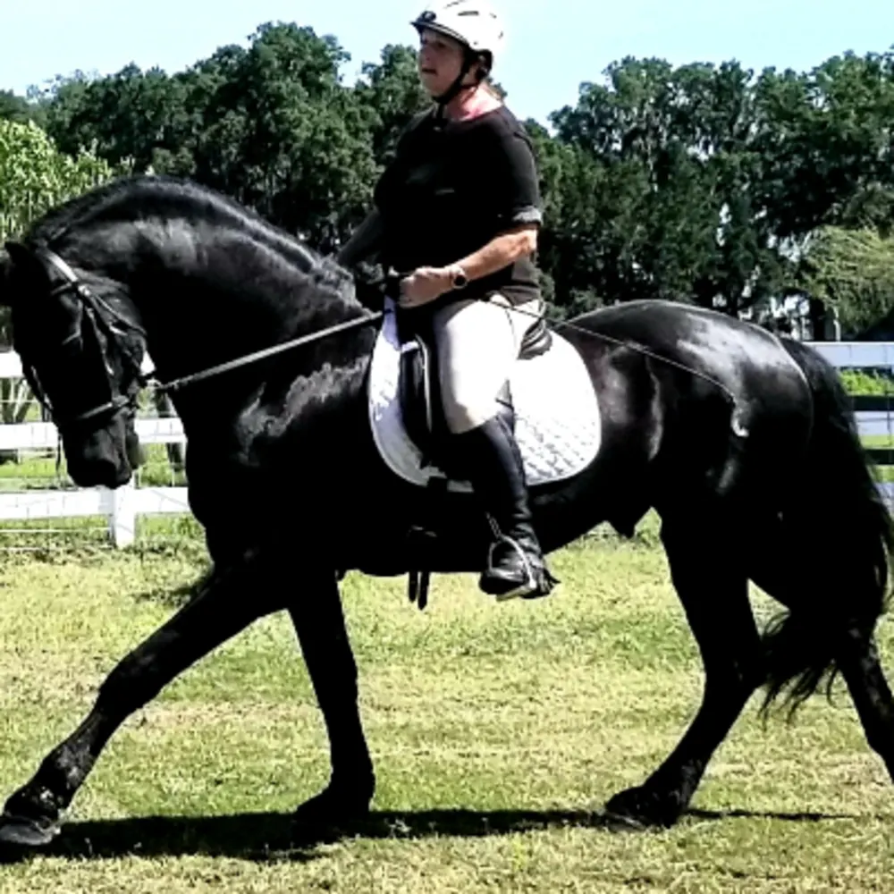 Kings Valley Stables