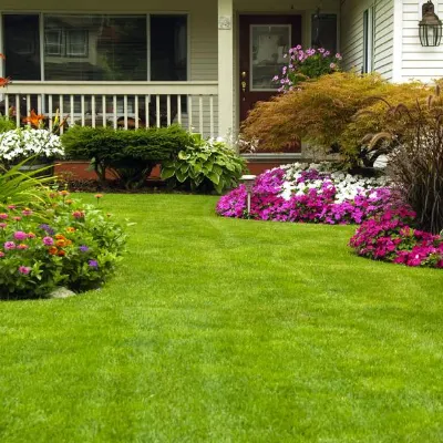 Pasquale Professional Landscapers