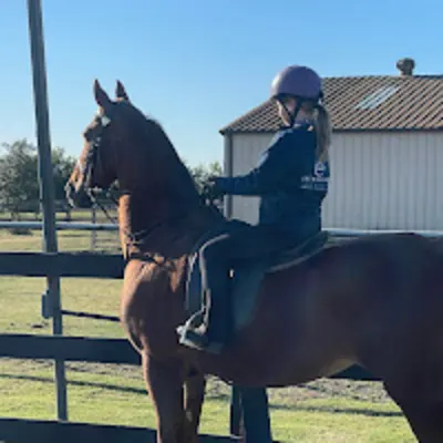 Shenanigan Stables