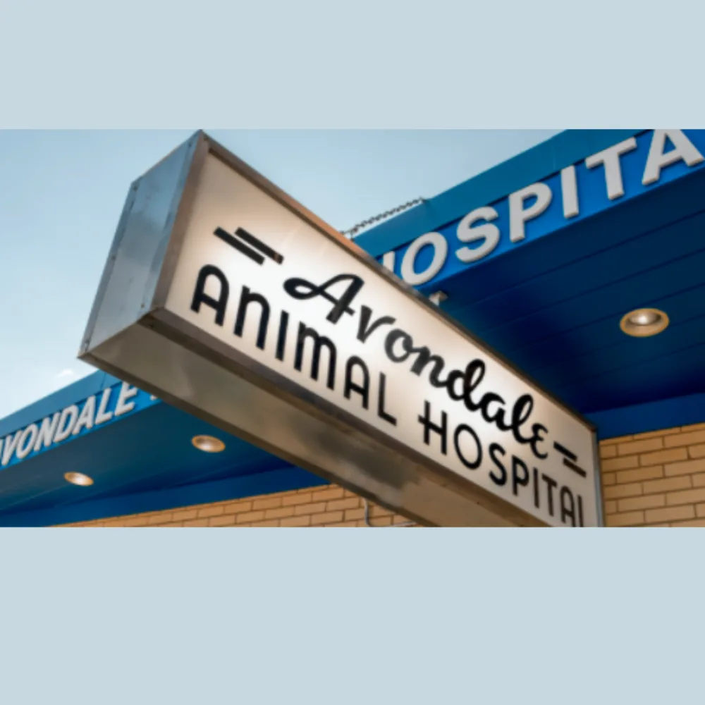 Avondale Animal Hospital
