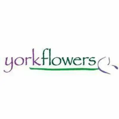 York Flowers Inc