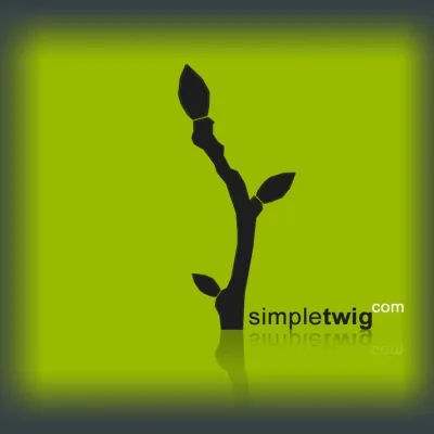 SimpleTwig Architecture.LLC