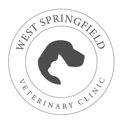 West Springfield Animal Hospital