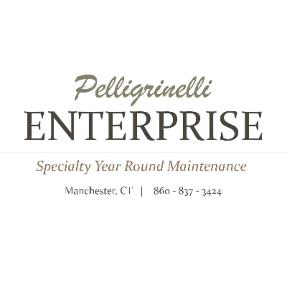 Pelligrinelli Enterprise