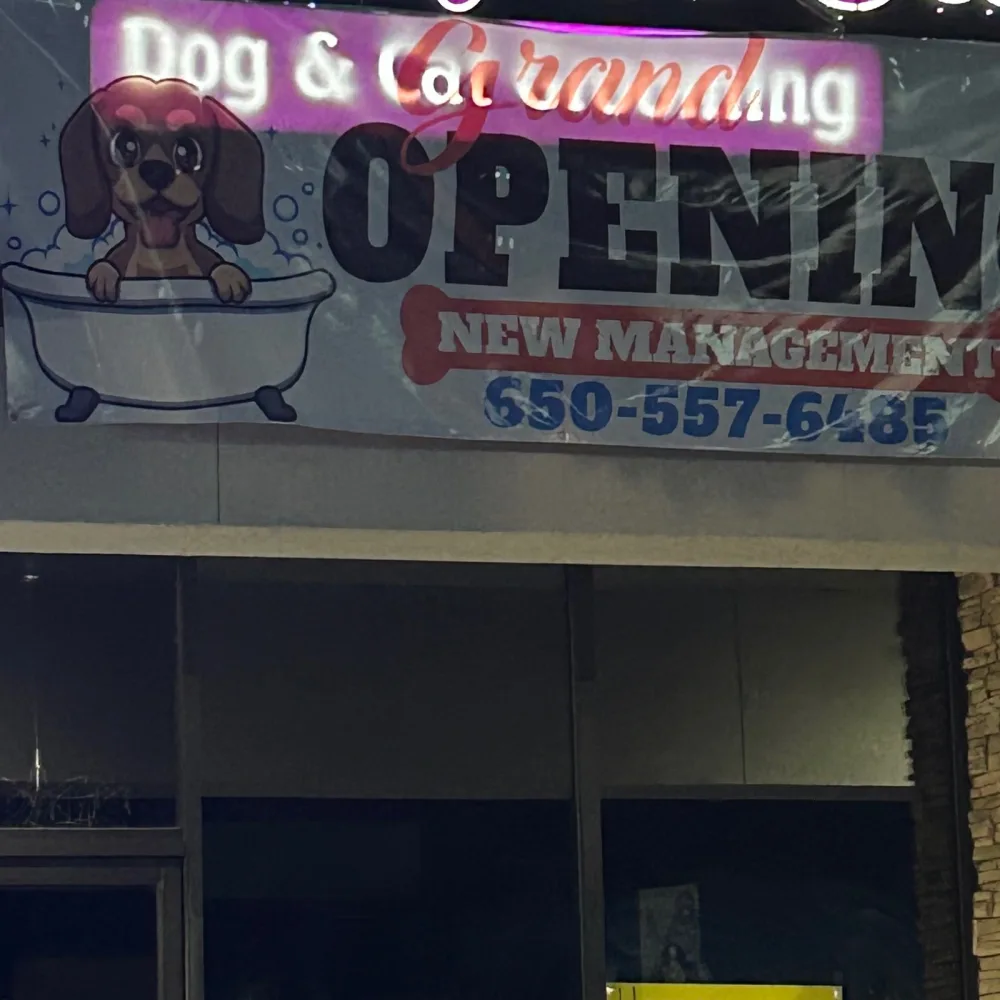 Artistic. Pet. Salon Fresno