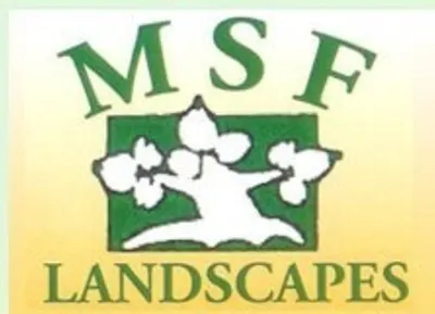 MSF Landscapes