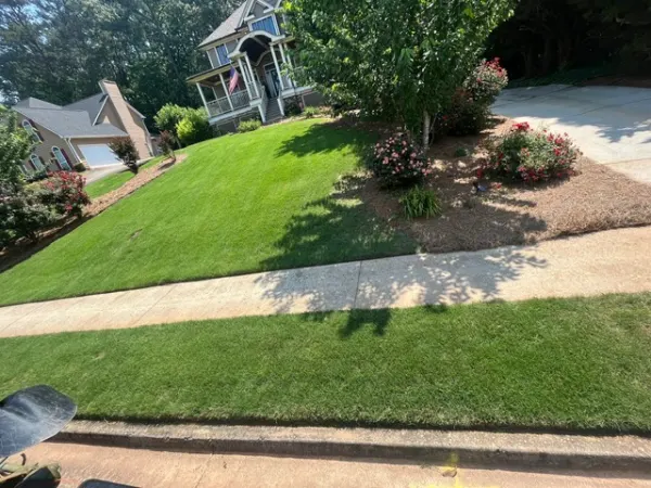 Lawn care in morrow ga