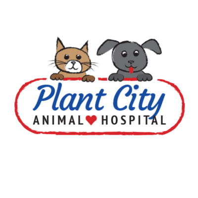Plant City Animal Hospital